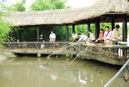 Du lịch Cần Thơ - câu cá sấu ở Mỹ Khánh